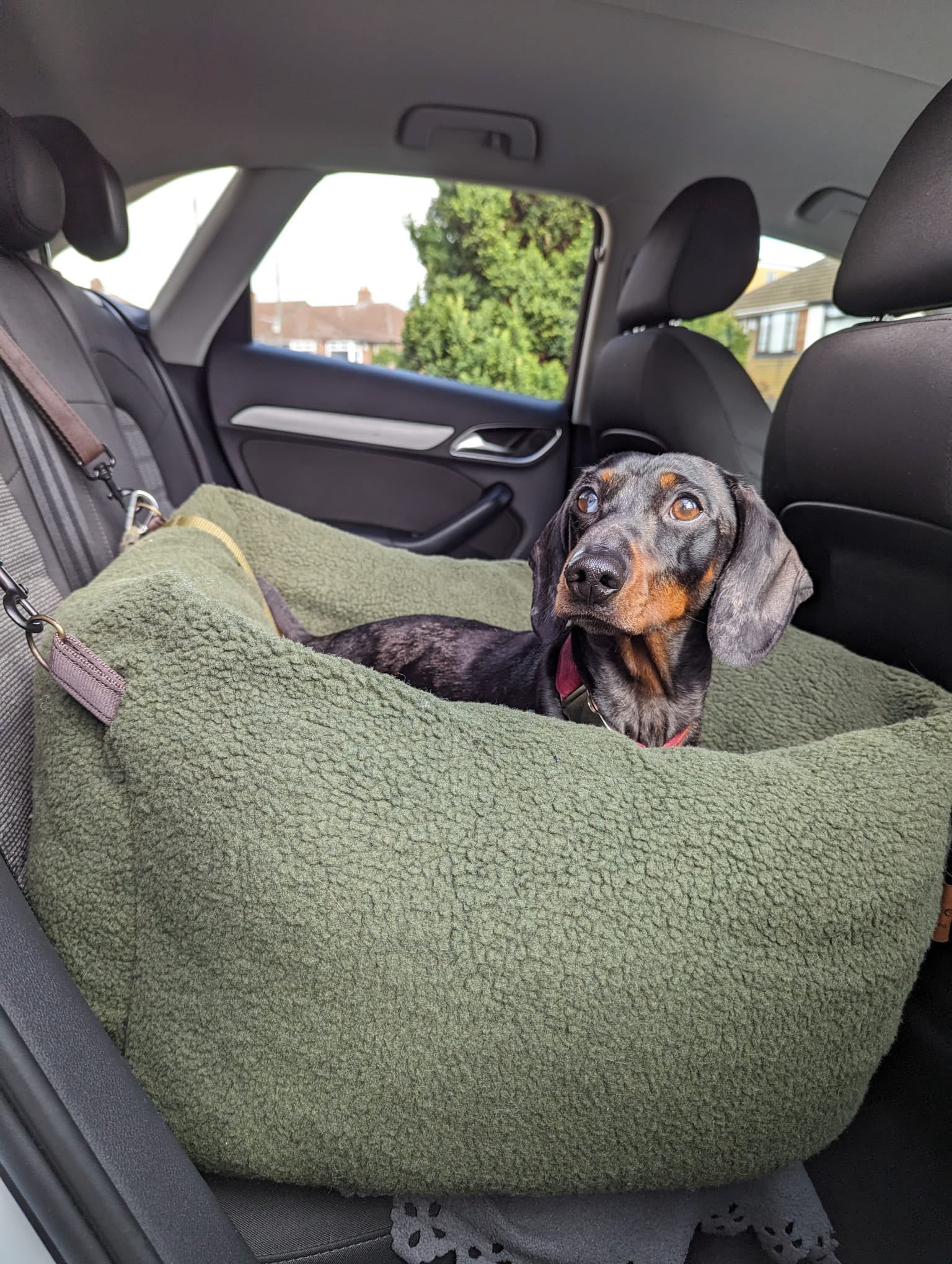 Teddy Car Beds - Hugo and Ted