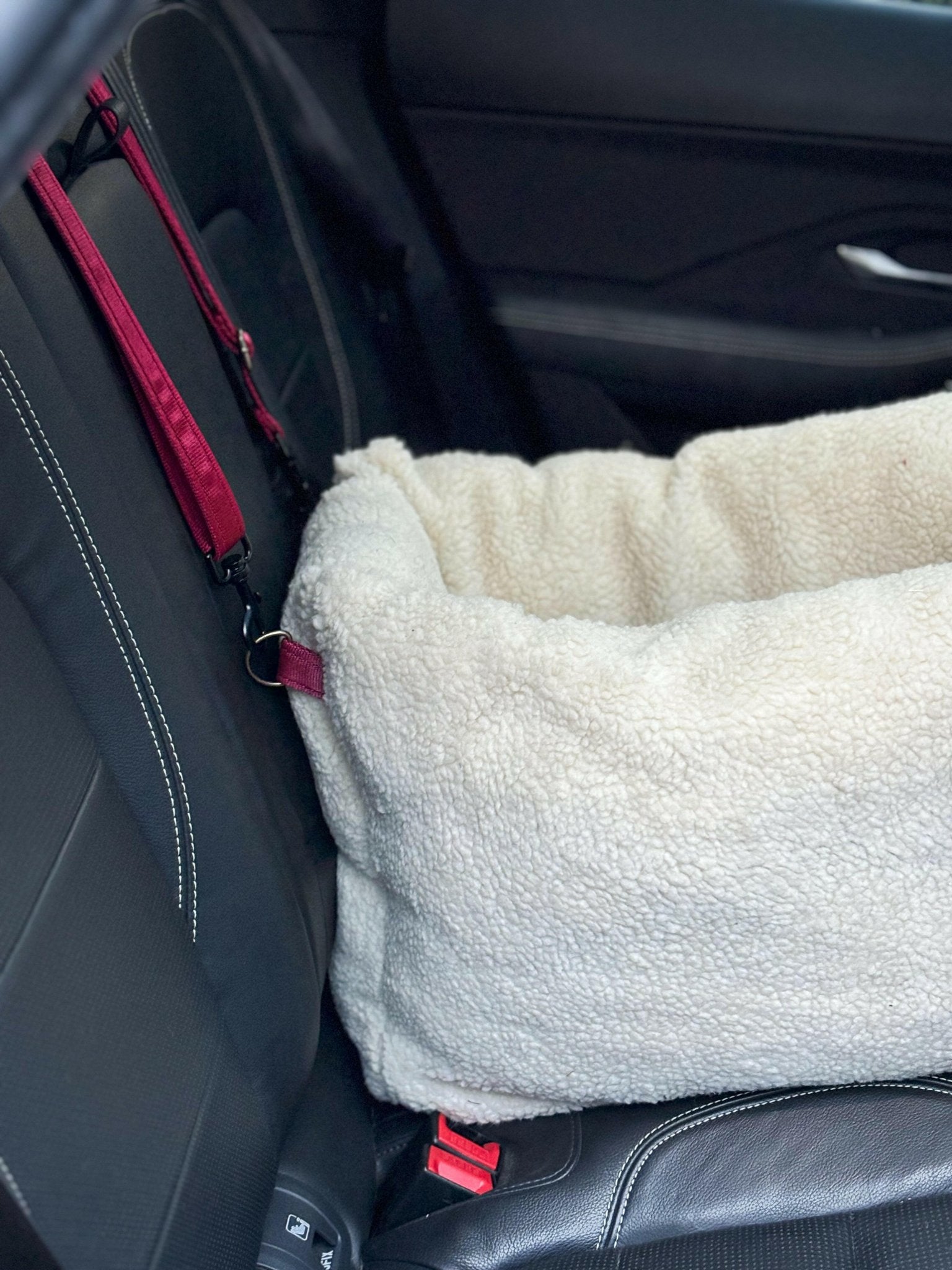 Teddy Car Beds - Hugo and Ted