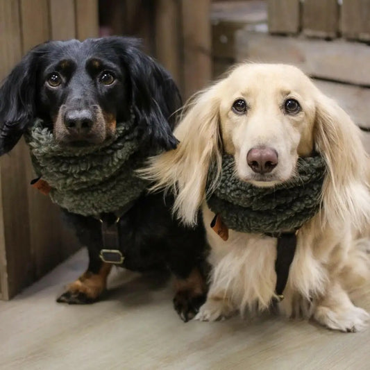 Teddy Fleece Dog Snood - 4 Sizes, Made to Order | Hugo and Ted - Hugo and Ted