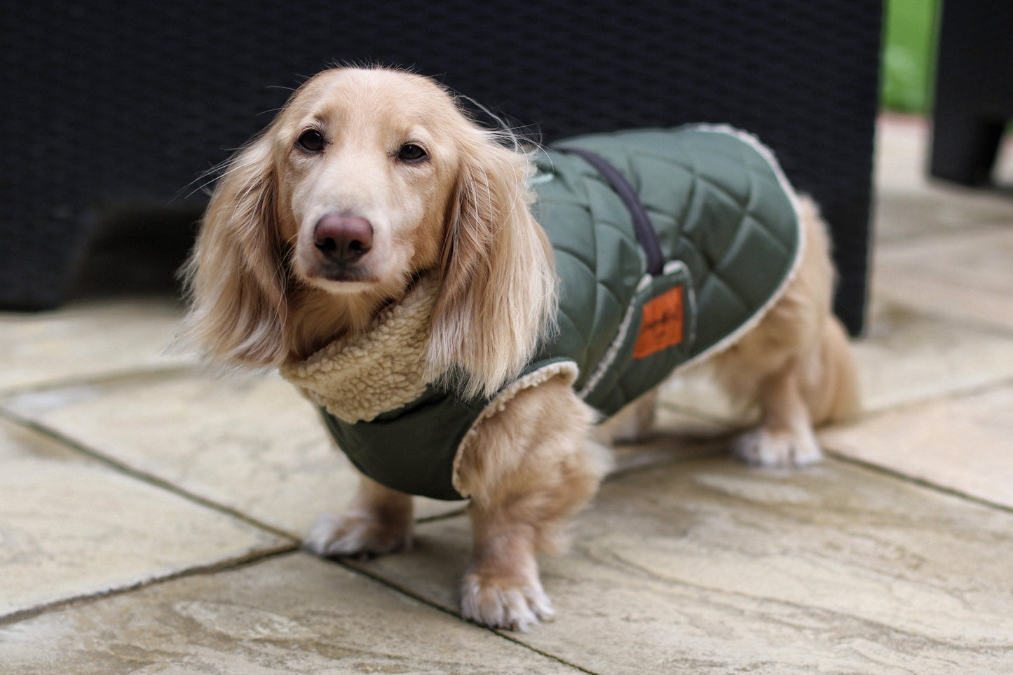 Teddy Fleece Lined Quilted Ultimate Walkies Waterproof Dog Coat for Wet Weather Adventures - Hugo and Ted