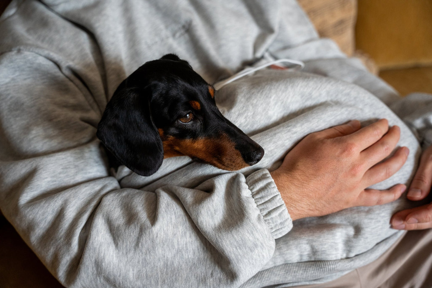 The Hoogle Pet Cuddle Hoodie – Soft Cotton Sweatshirt with Adjustable Pouch and Teddy Fleece Lining - Hugo and Ted