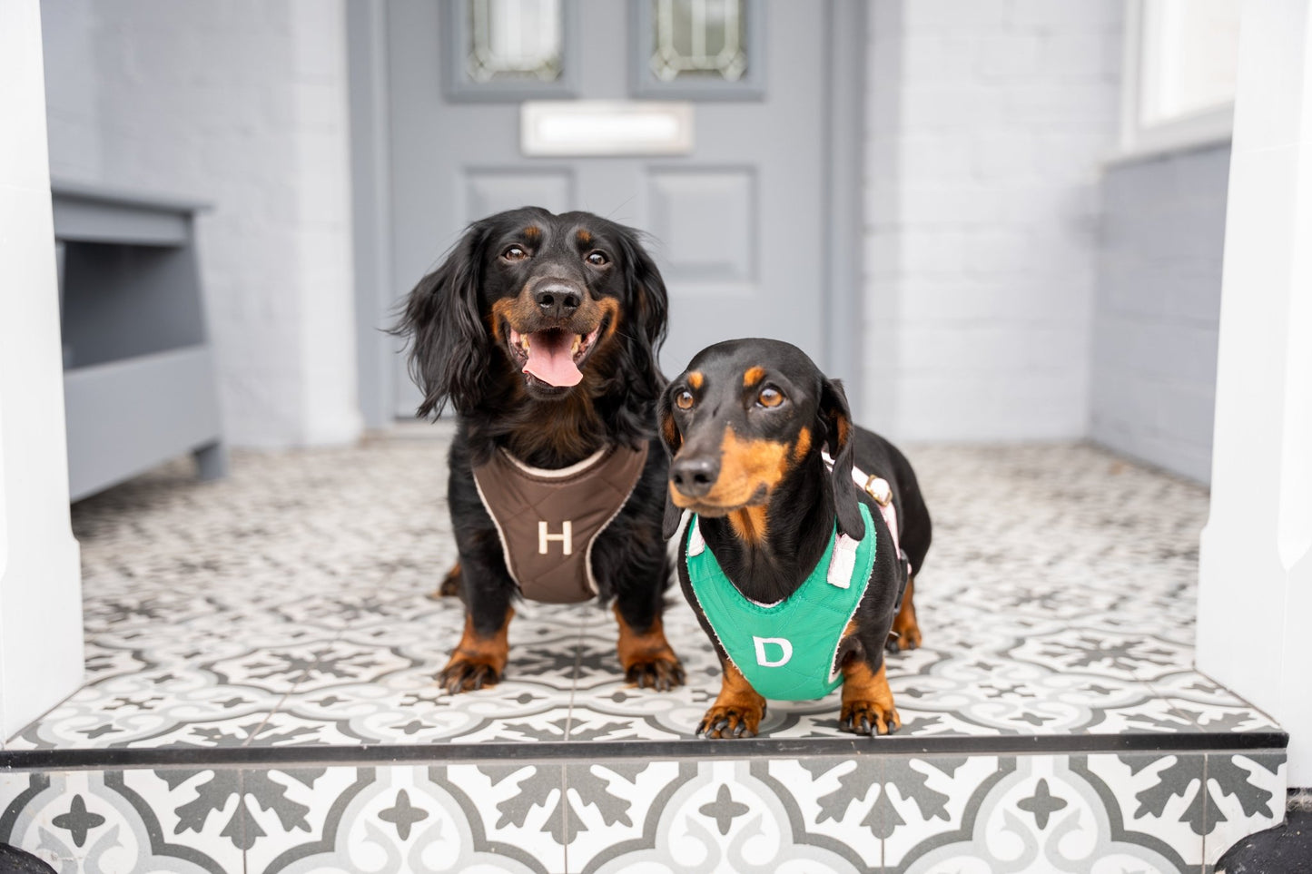 Venture Harnesses – Waterproof and Fleece Lined Step - In Dog Harness - Hugo and Ted