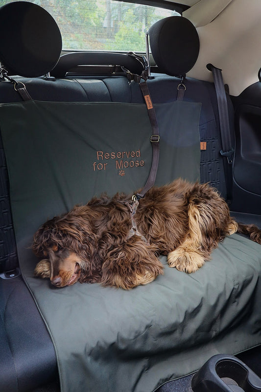 Waterproof Car Boot Liner Mat – Personalised Travel Mat for Dogs and Adventures - Hugo and Ted
