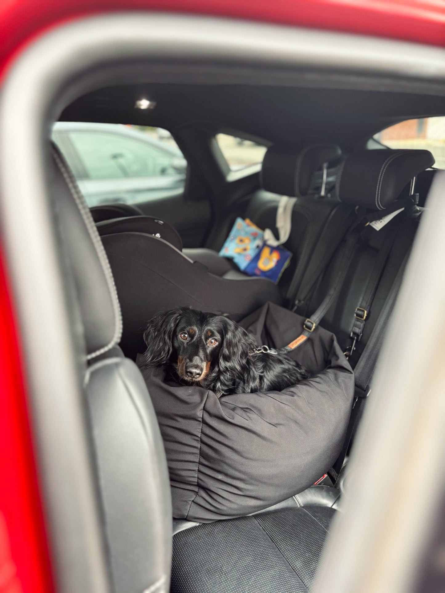 Waterproof Rainfleece Dog Car Bed – Snuggly, Secure & Travel - Friendly - Hugo and Ted
