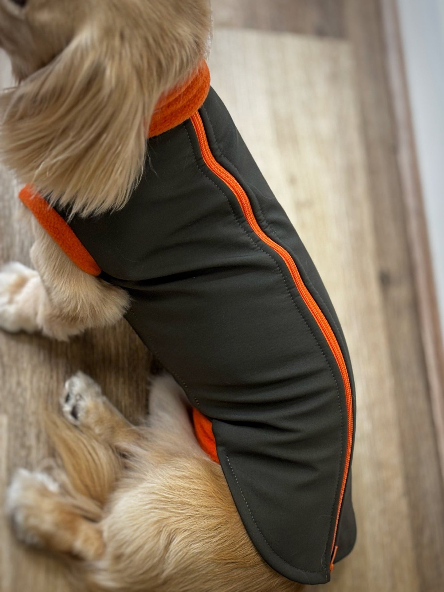 Waterproof Rainfleece Dog Coats – Made to Measure, Waterproof & Thermal for All - Weather Protection - Hugo and Ted