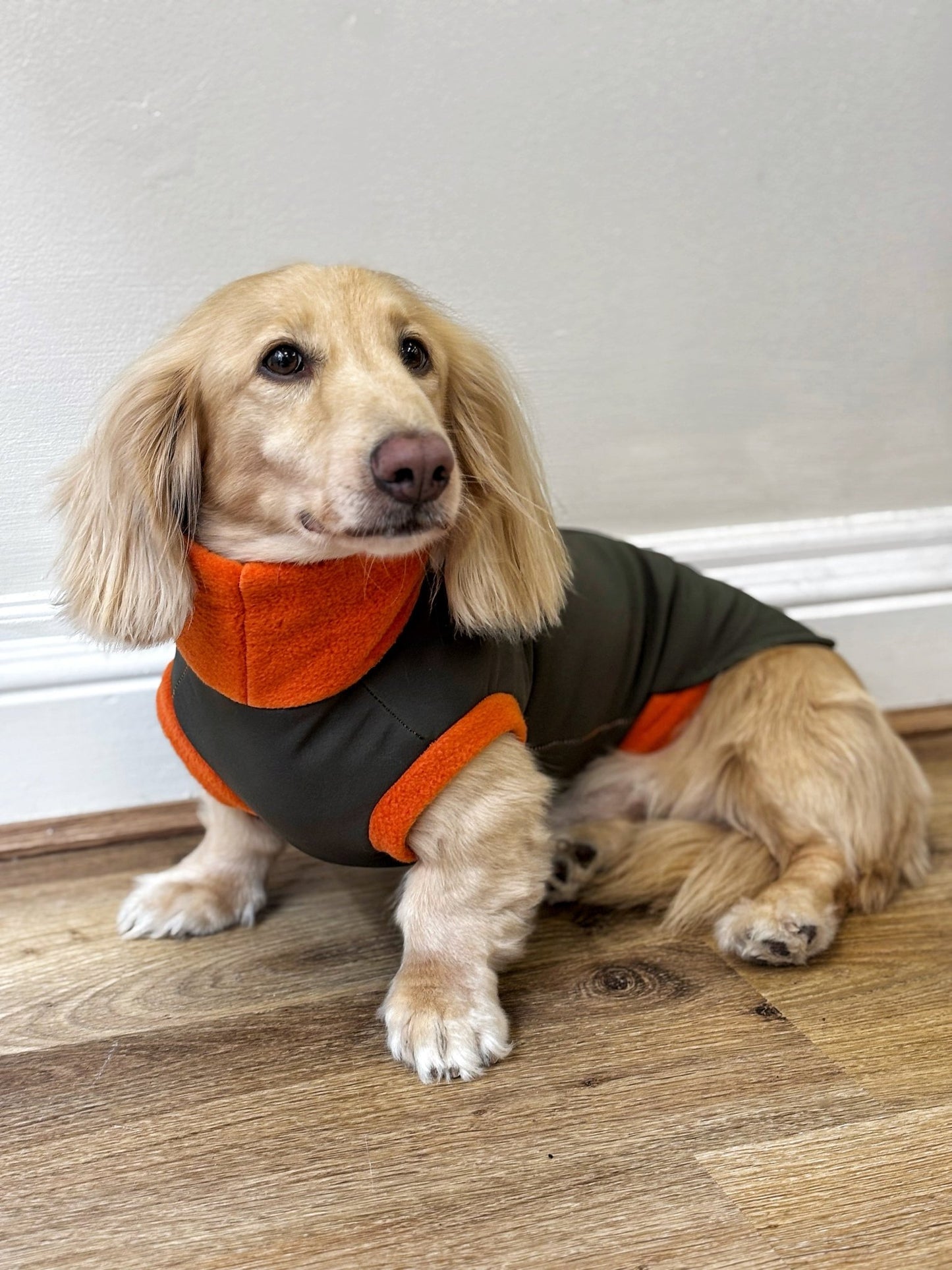 Waterproof Rainfleece Dog Coats – Made to Measure, Waterproof & Thermal for All - Weather Protection - Hugo and Ted