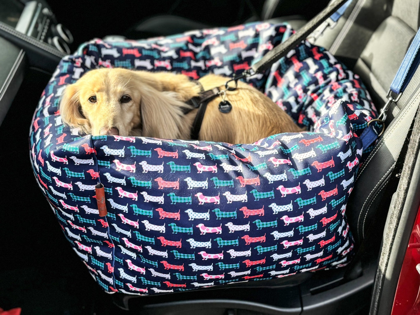 Waterproof Rainfleece Hugo and Ted Collection Car Beds - Hugo and Ted