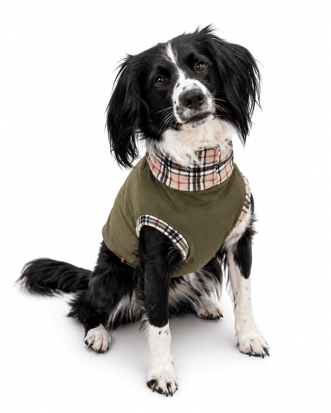 How to Choose the Right Size for a Made to Measure Dog Coat - Hugo and Ted