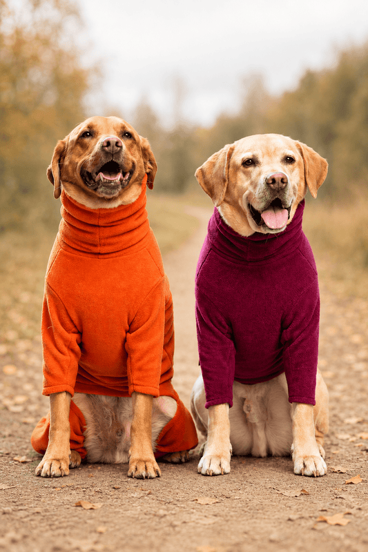 How to Style Matching Dog and Owner Outfits for Autumn Walks - Hugo and Ted