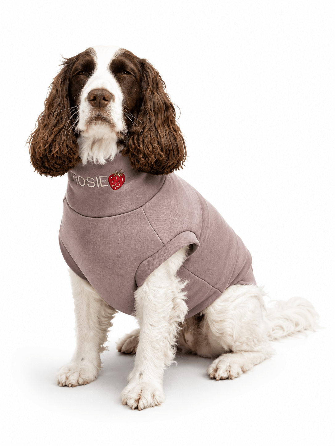 How to Wash and Care for a Fleece Dog Coat - Hugo and Ted