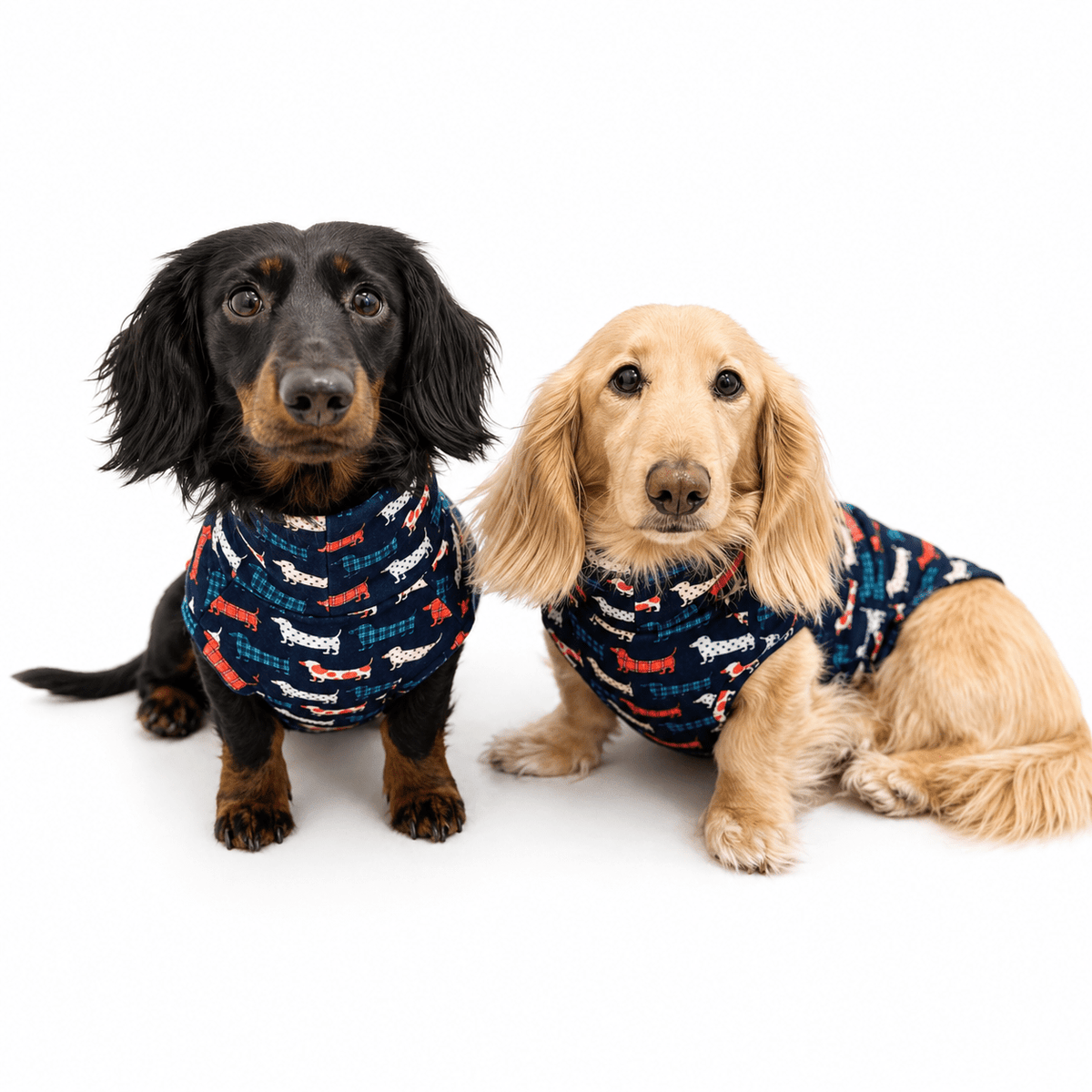 WALKWEAR - Hugo and Ted