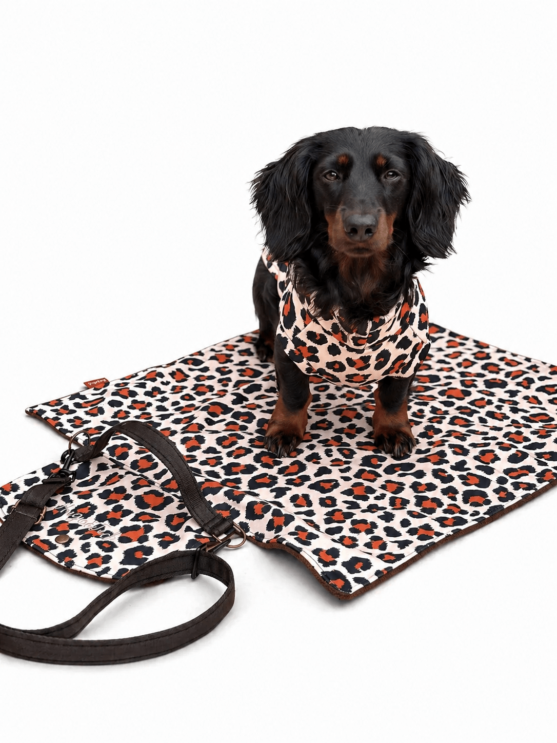 THE LENNY LEOPARD COLLECTION - Hugo and Ted