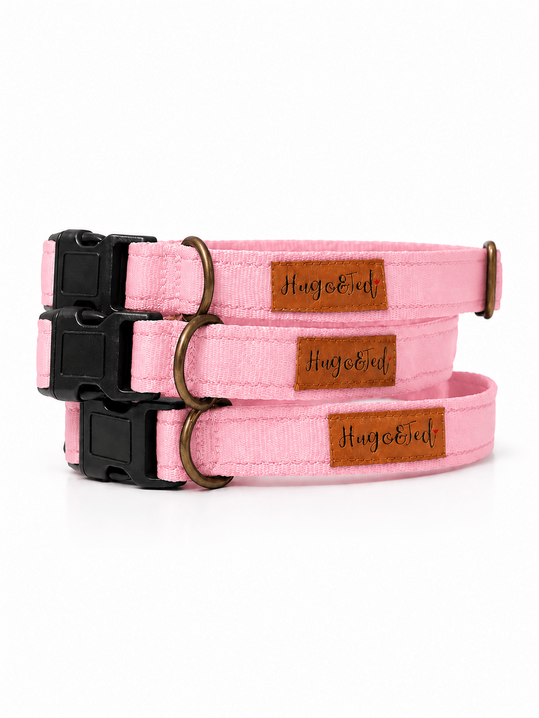 COLLARS AND LEADS - Hugo and Ted