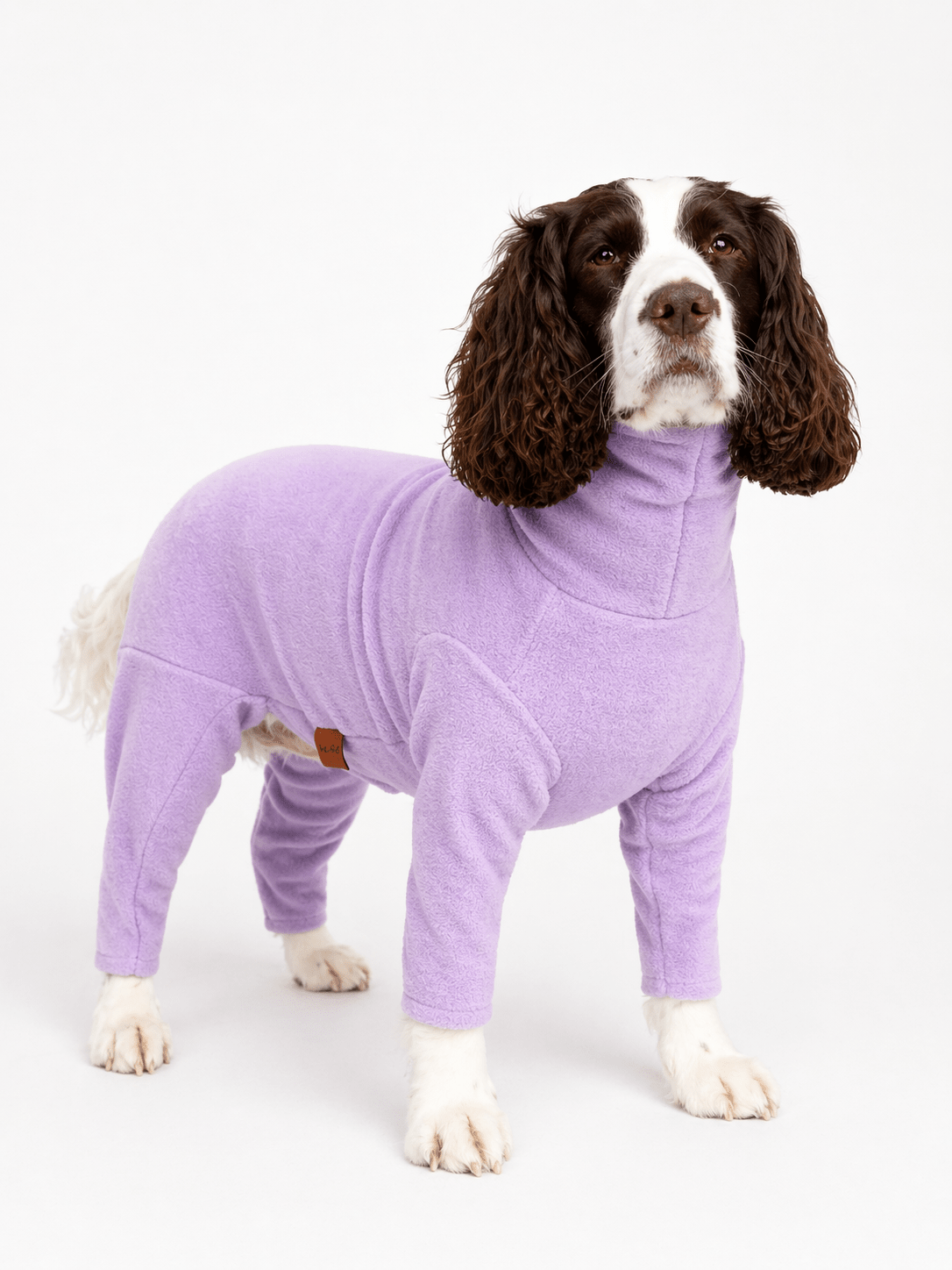 THE PASTEL COLLECTION - Hugo and Ted