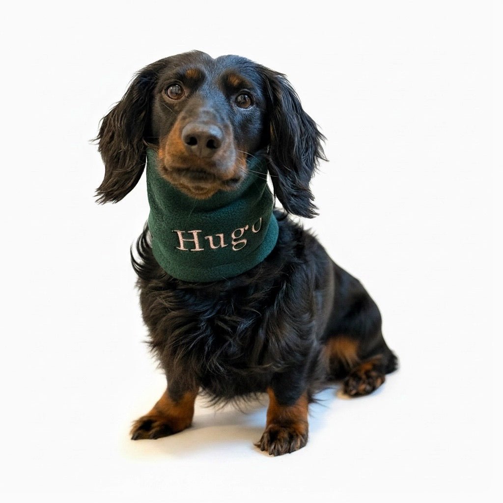ACCESSORIES - Hugo and Ted