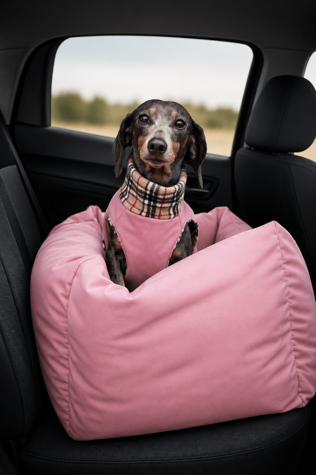CAR BEDS AND TRAVEL ESSENTIALS - Hugo and Ted