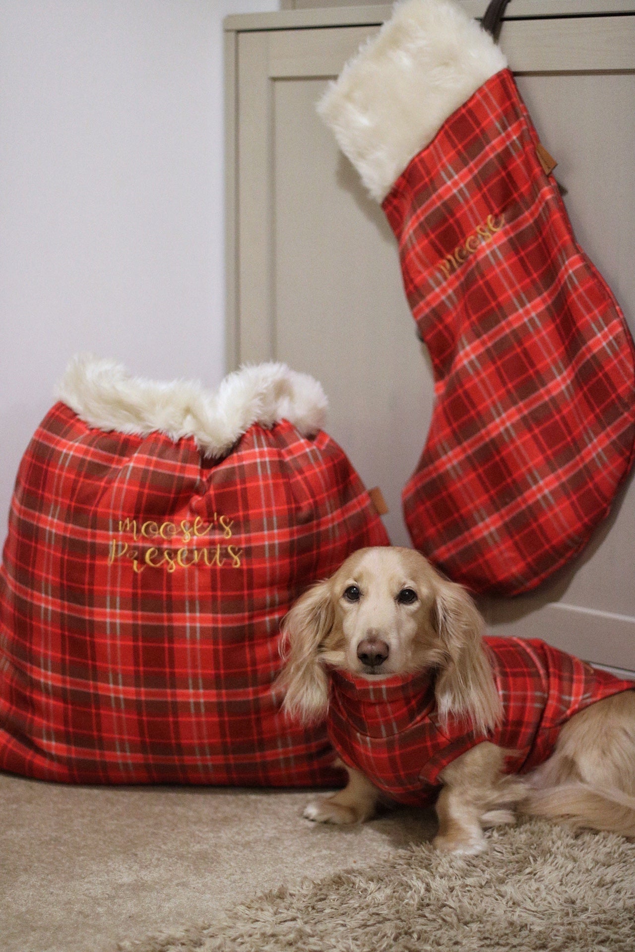 CHRISTMAS - Hugo and Ted