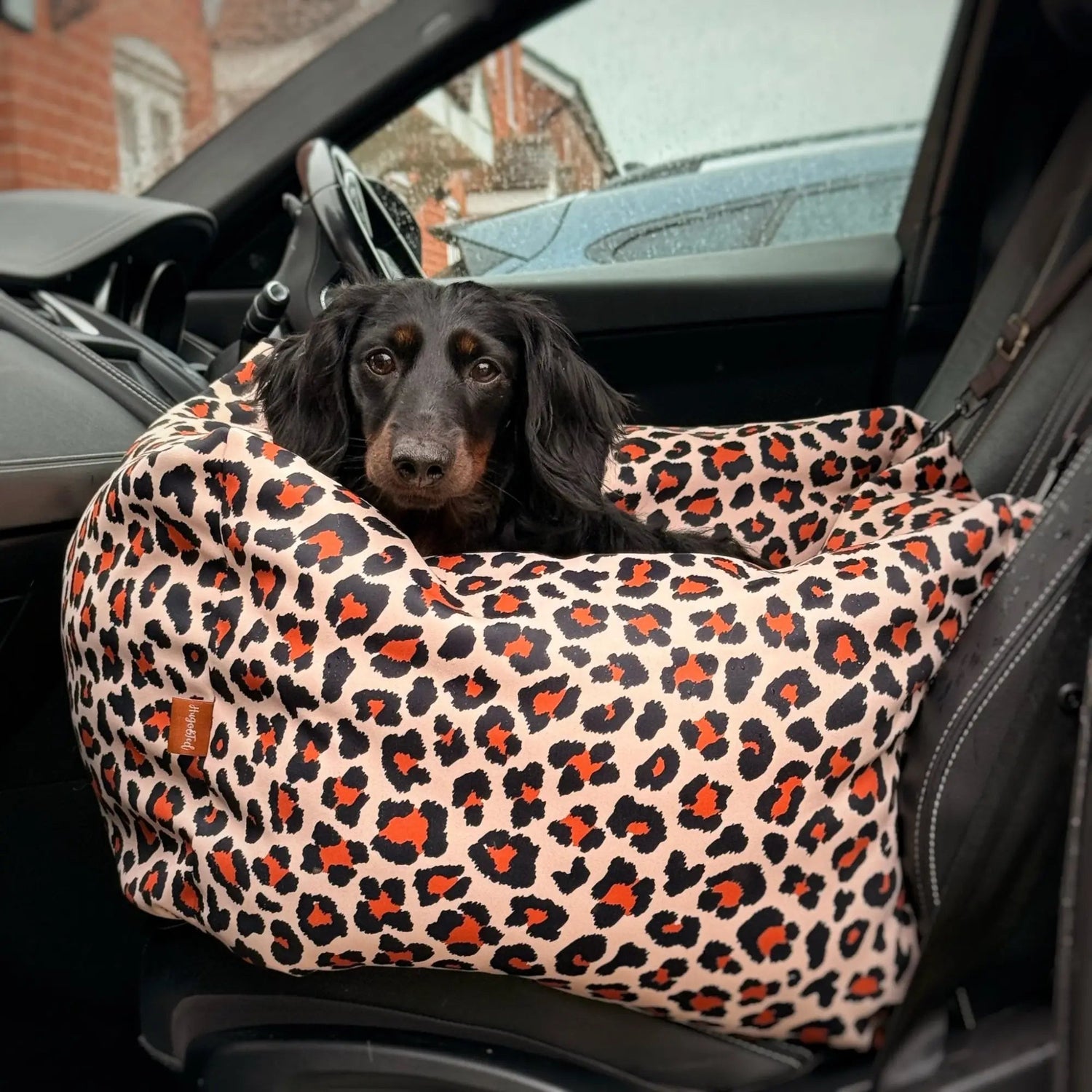 THE LENNY LEOPARD COLLECTION - Hugo and Ted