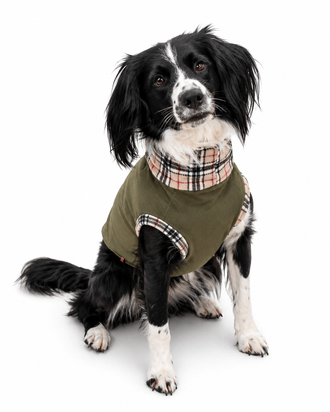 WATERPROOF DOG COATS - Hugo and Ted