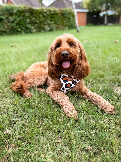Lenny Leopard Print Waterproof Step-In Dog Harness - Made to Measure All Breeds | Hugo and Ted