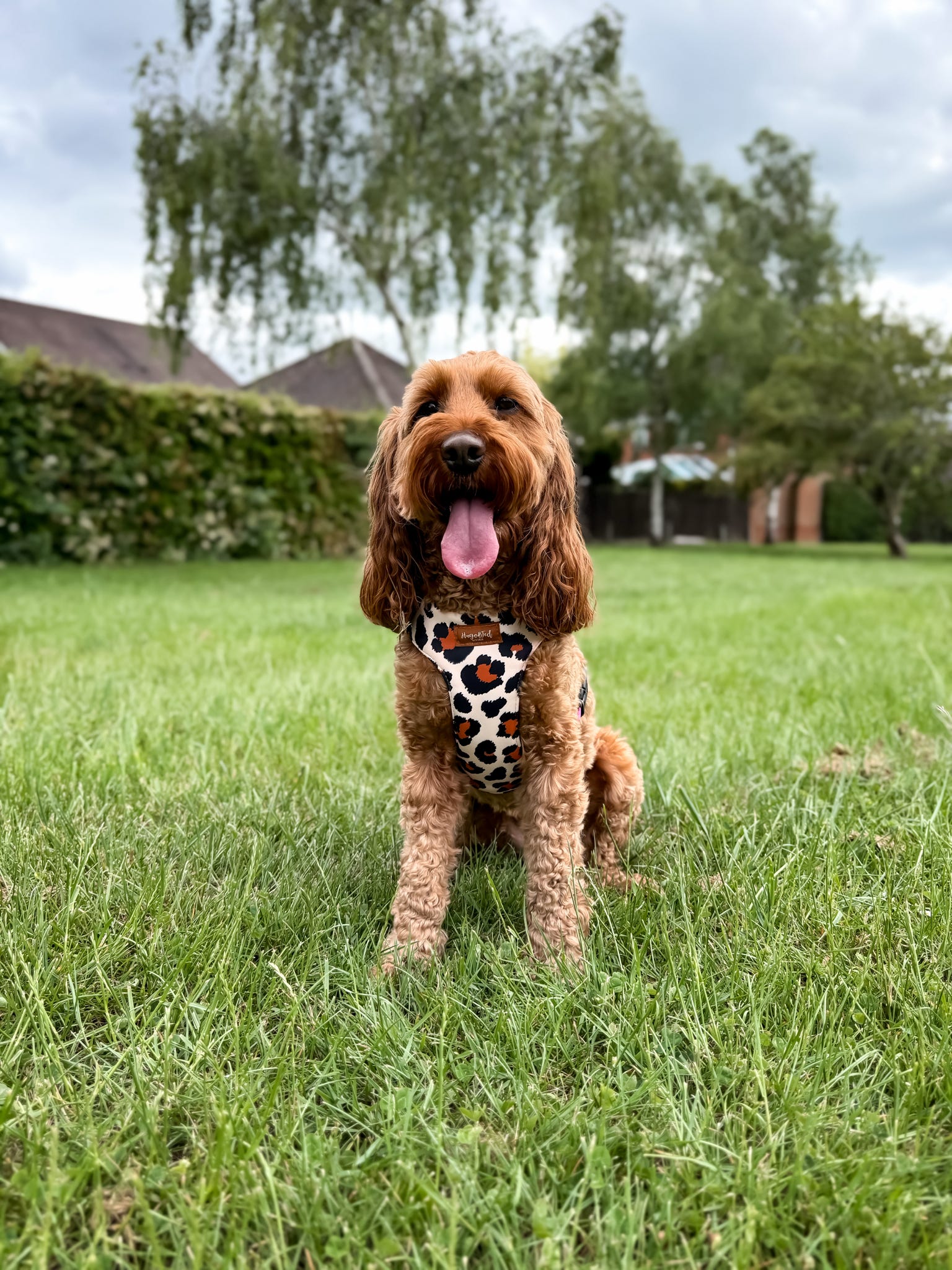 Lenny Leopard Print Waterproof Step-In Dog Harness - Made to Measure All Breeds | Hugo and Ted