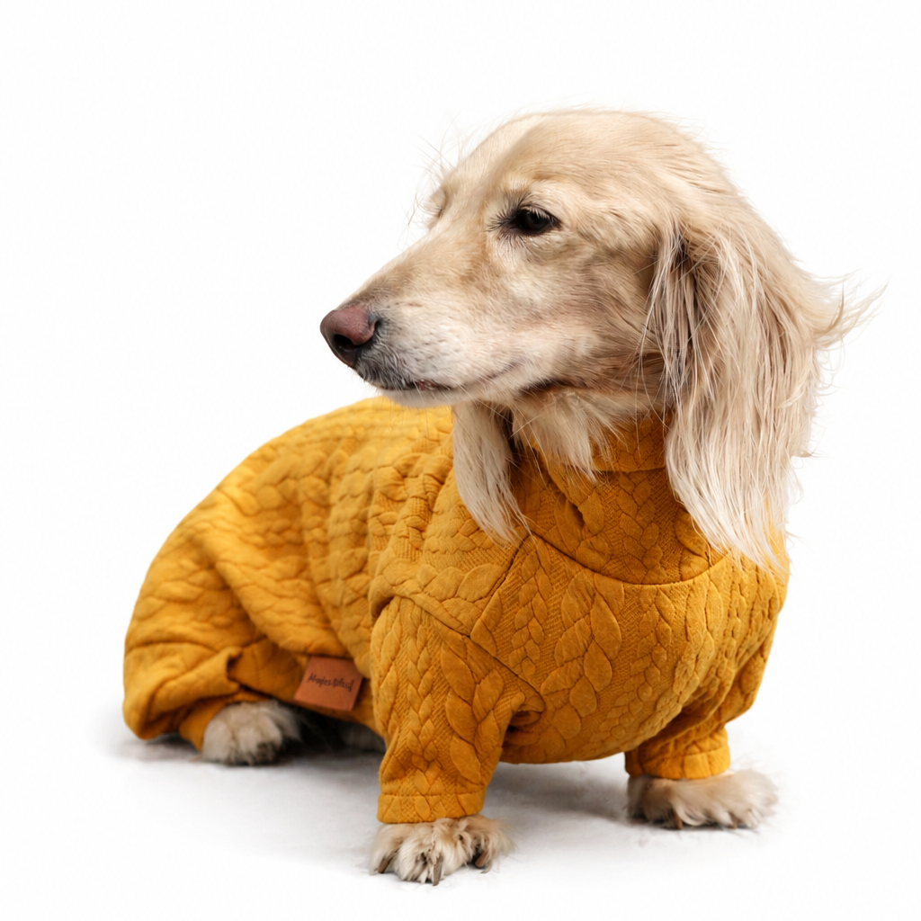 Pulls pour chiens en tricot torsadé