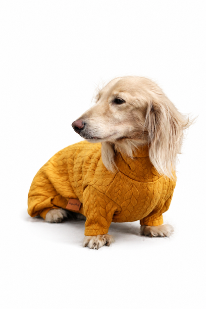 Pulls pour chiens en tricot torsadé
