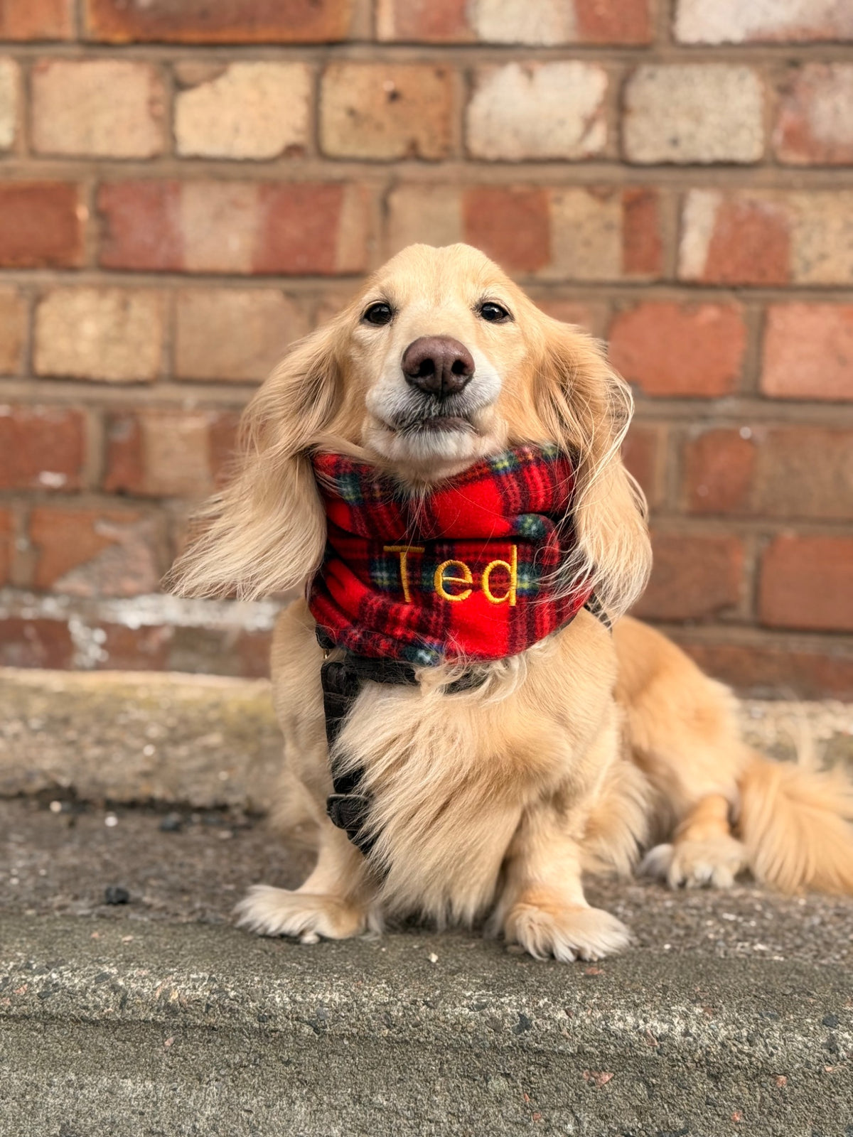 Red Tartan Personalised Dog Snood