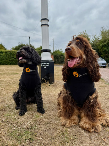 Limited Edition BOO! Halloween Jumpers