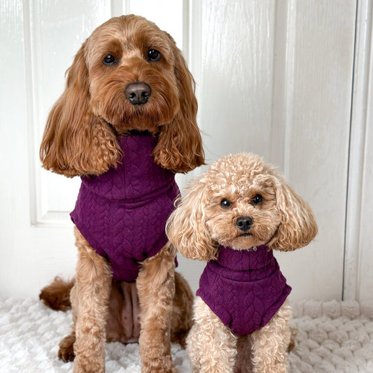 Cable Knit Dog Jumpers - Soft and Practical Dog Jumpers