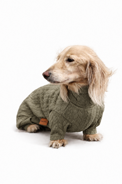 Pulls pour chiens en tricot torsadé