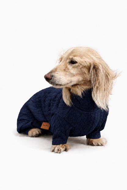 Pulls pour chiens en tricot torsadé