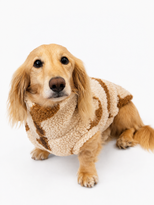 PREORDER Dachshund Sherpa Fleece Dog Jumper - Made to Measure