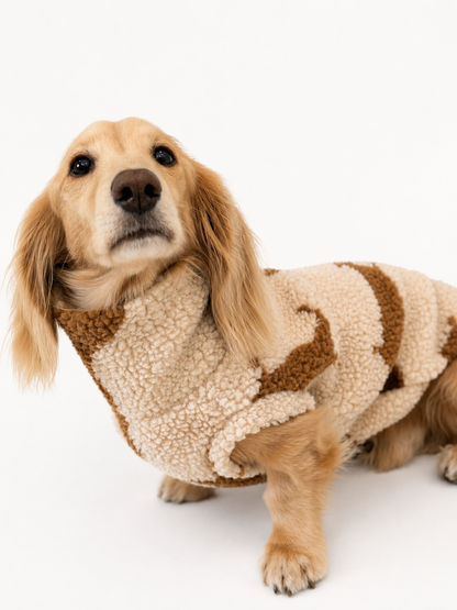 PREORDER Dachshund Sherpa Fleece Dog Jumper - Made to Measure