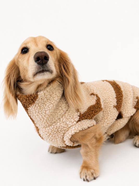 PREORDER Dachshund Sherpa Fleece Dog Jumper - Made to Measure