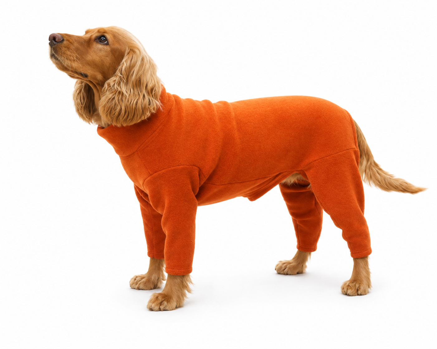 Fleece Dog Jumpsuit - Four Leg Coverage, Made to Measure