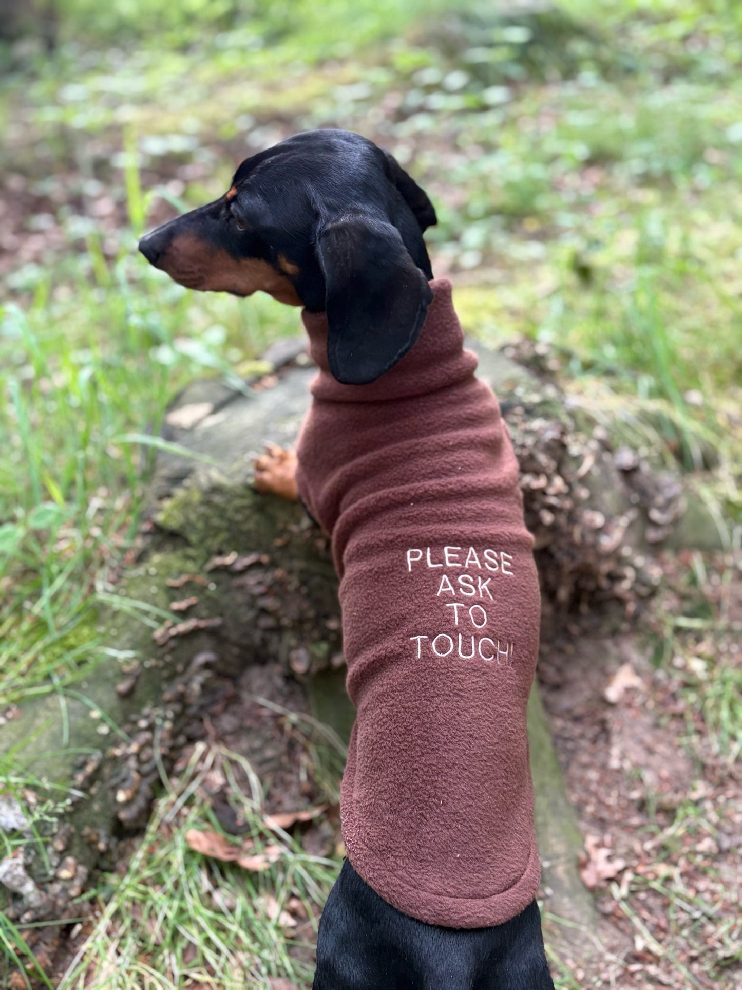 Pawblicity Jumpers | Standard Sized Fleece Snuggle Jumper | Hugo and Ted
