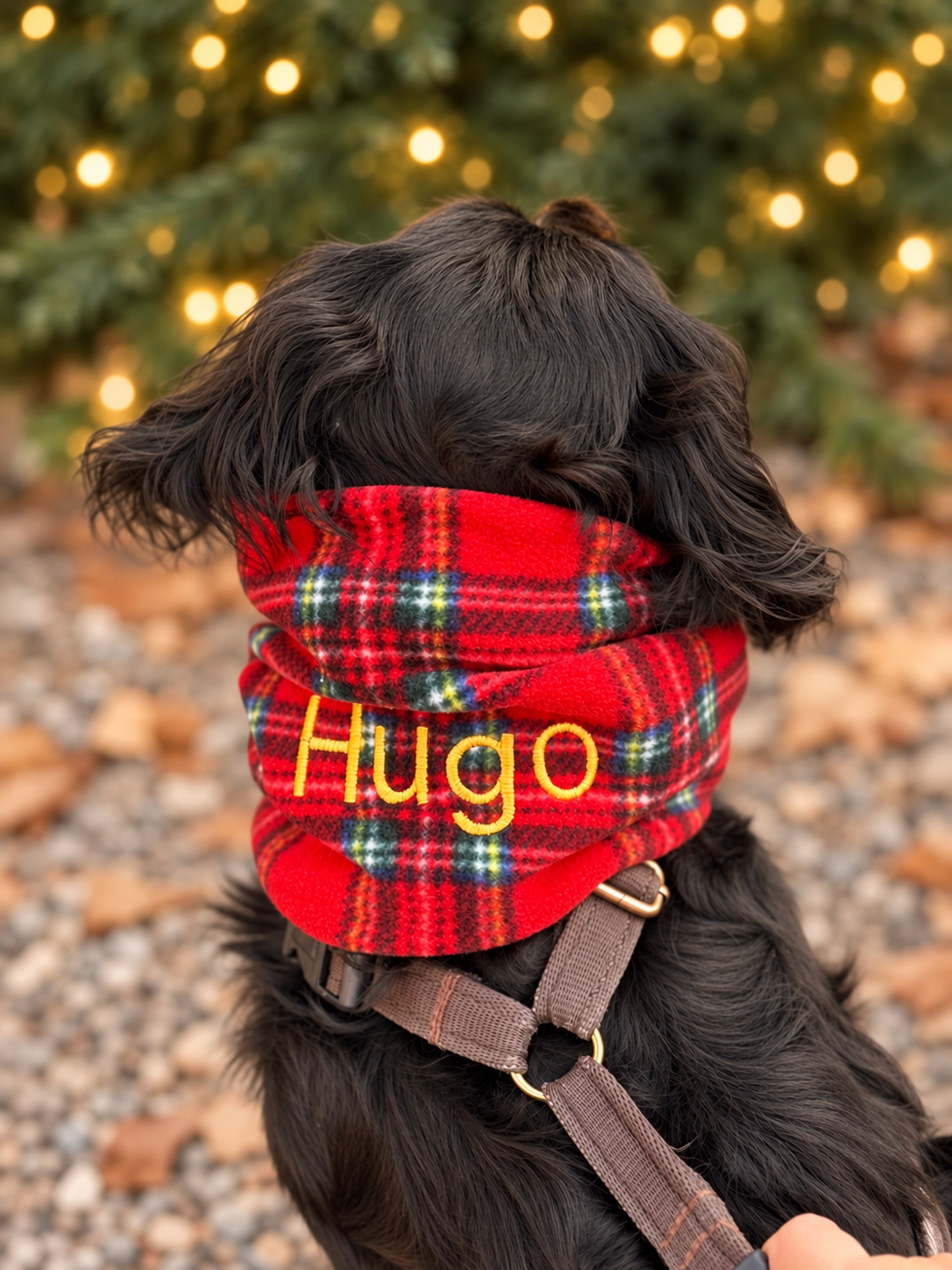 Red Tartan Personalised Dog Snood