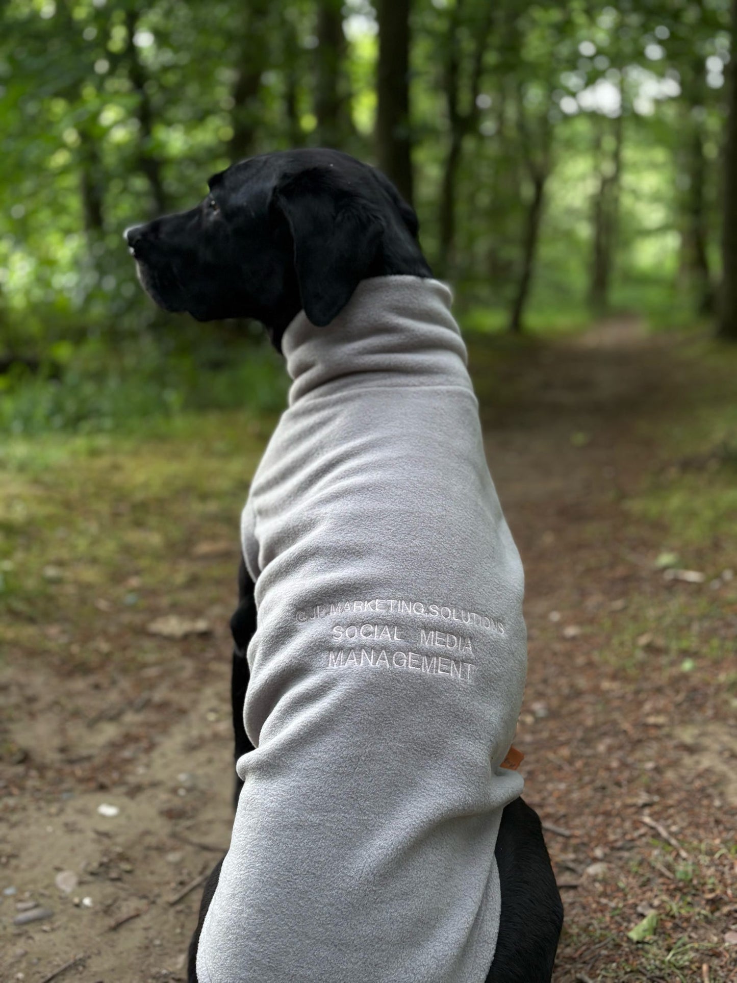 Pawblicity Jumpers | Standard Sized Fleece Snuggle Jumper | Hugo and Ted