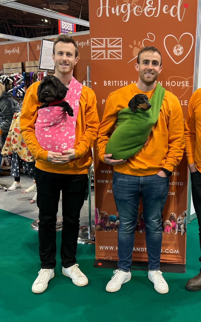 Dachshund sitting in orange fleece dog sling