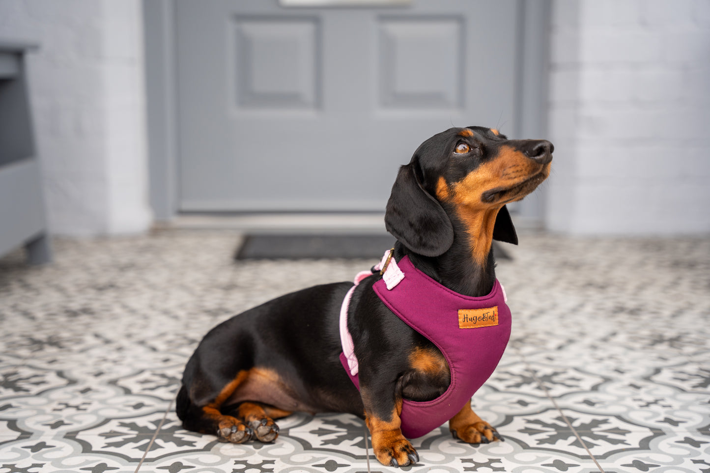 Rainfleece Harnesses - Soft, Durable, Waterproof, Practical Harnesses for Everyday Adventures