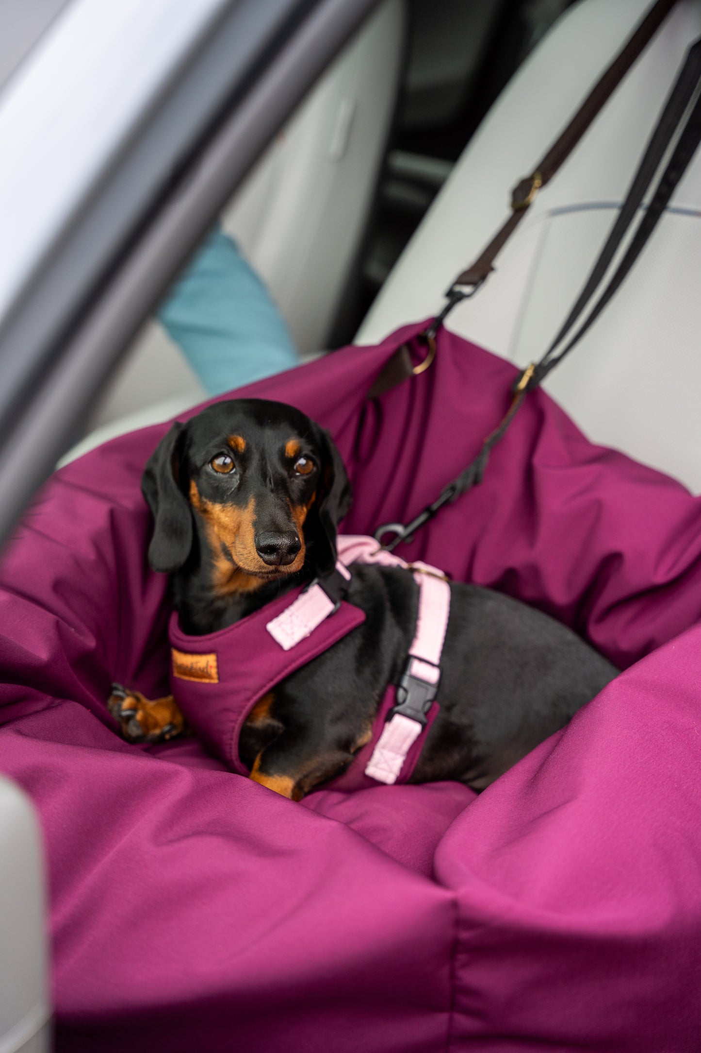 Waterproof Rainfleece Dog Car Bed – Snuggly, Secure & Travel-Friendly