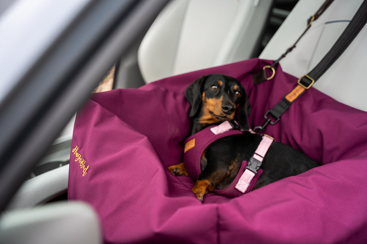 Waterproof Rainfleece Dog Car Bed – Snuggly, Secure & Travel-Friendly