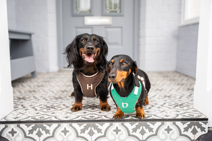 Venture Harnesses – Waterproof and Fleece Lined Step-In Dog Harness