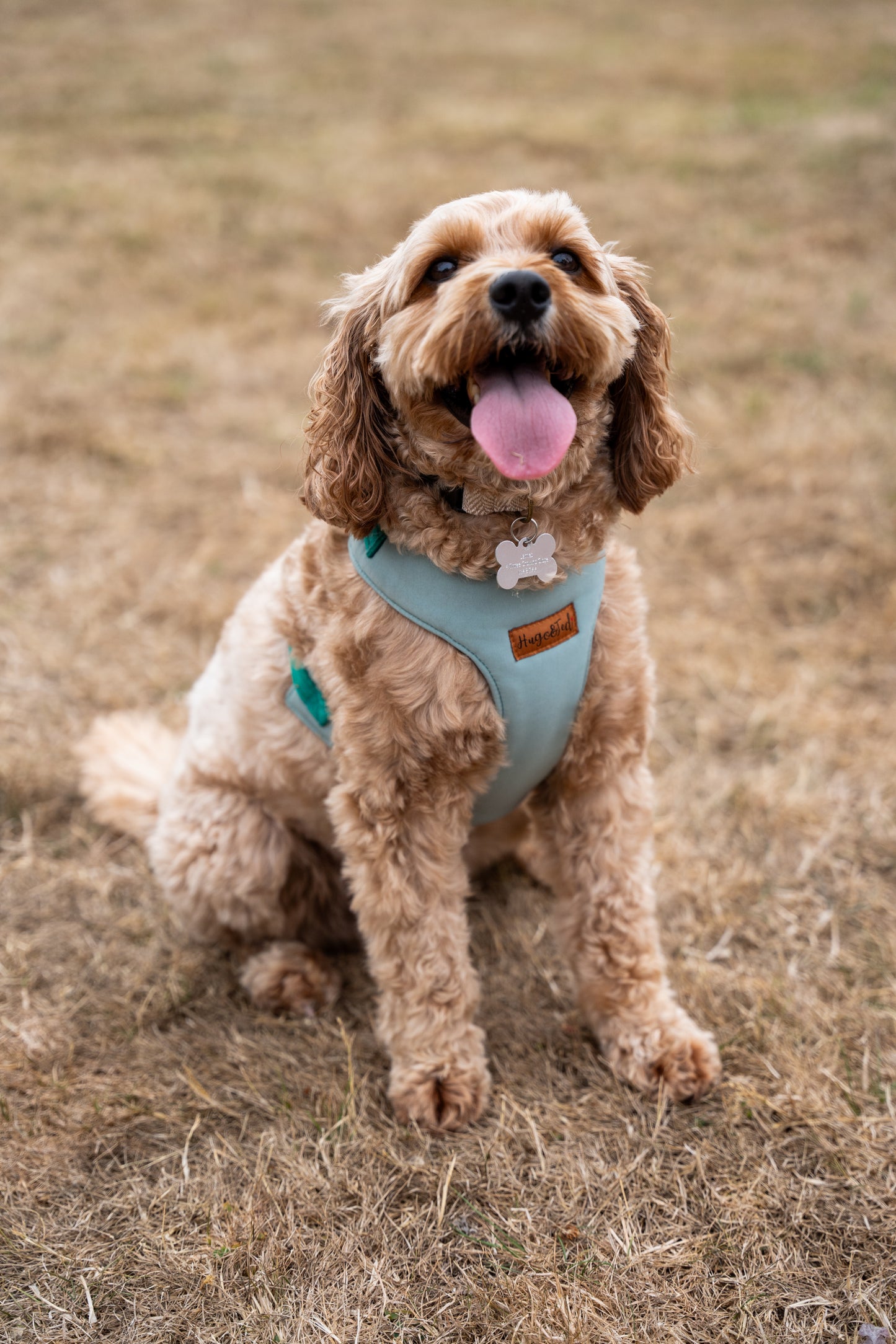 Rainfleece Harnesses - Soft, Durable, Waterproof, Practical Harnesses for Everyday Adventures