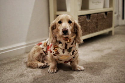 Autumn Spice Snuggle Jumpers – Custom Fit & Rainproof