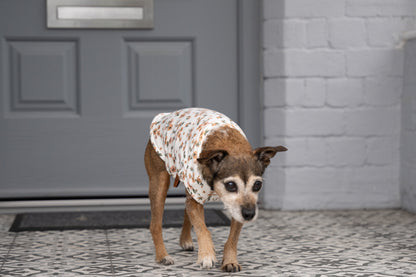 Floral Dog Sweatshirts – Stylish, Cosy & Made to Measure