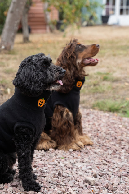 Limited Edition BOO! Halloween Jumpers