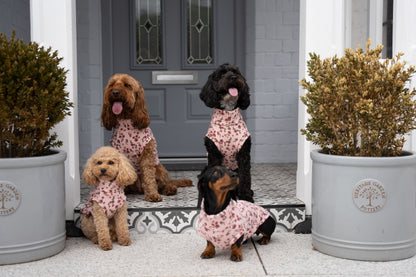 Floral Dog Sweatshirts – Stylish, Cosy & Made to Measure