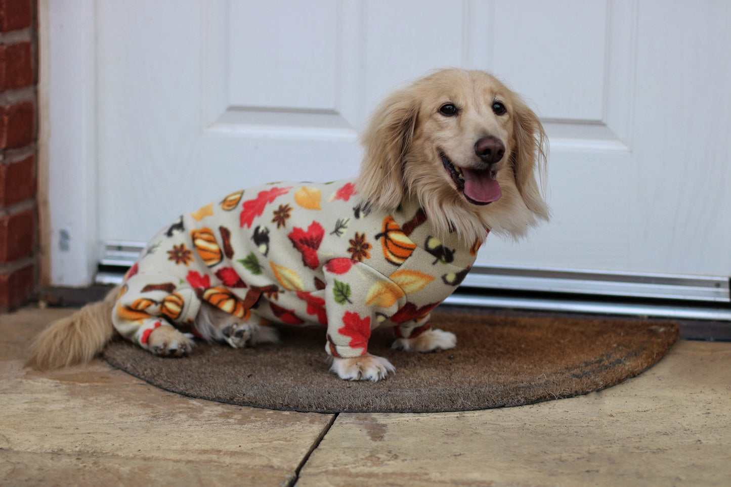Autumn Spice Fleece Dog Jumpsuit - Made to Measure, Rainproof & Super Snug